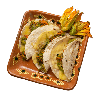 SQUASH BLOSSOM QUESADILLAS